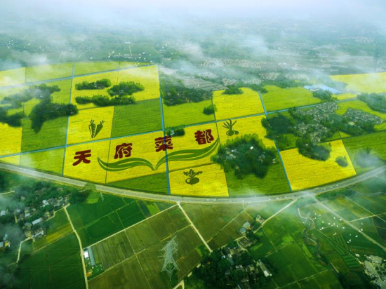 高标准农田建设提速 相关公司迎“风口”不愁订单