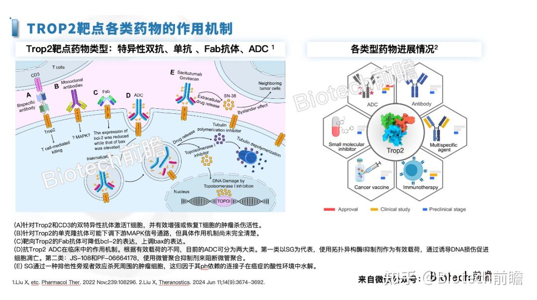 科伦博泰PD-L1单抗科泰莱获批上市 适应症为鼻咽癌