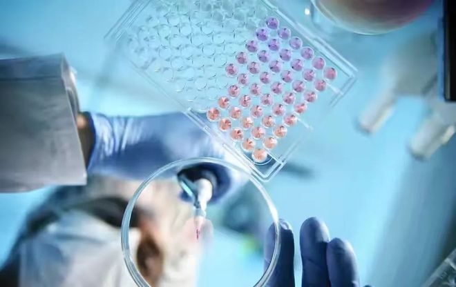 迈瑞医疗：公司已进行两轮股份回购方案每次10亿元人民币