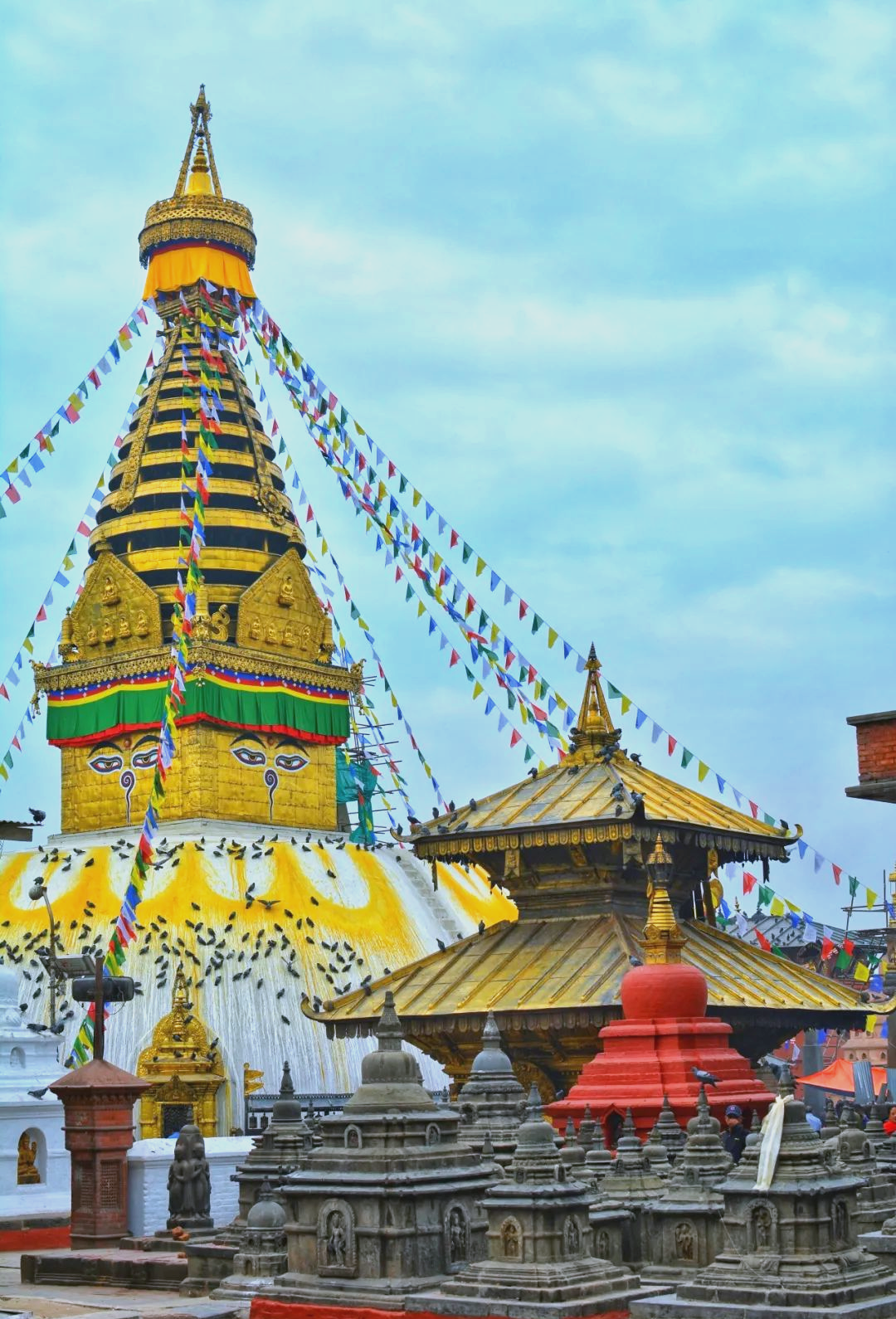 2024年佛得角酒店业累计接待人次近118万