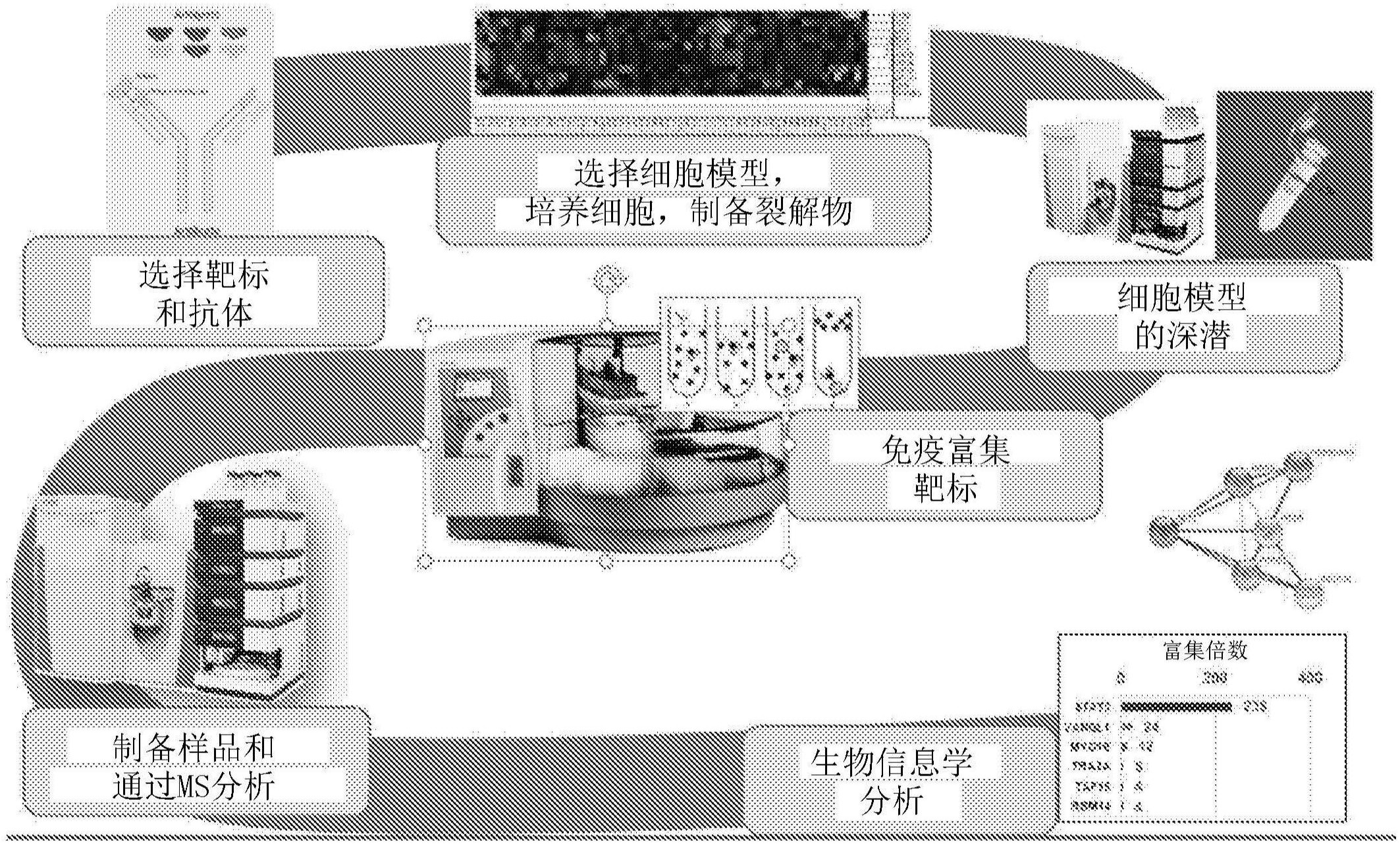 福斯特获得发明专利授权：“感光组合物、感光覆盖膜、线路板及其制备方法”