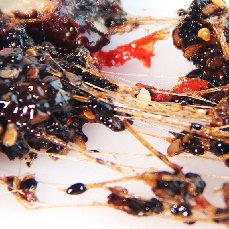 养生新消费带火“即食滋补” 阿胶速溶粉搜索量增长近120%