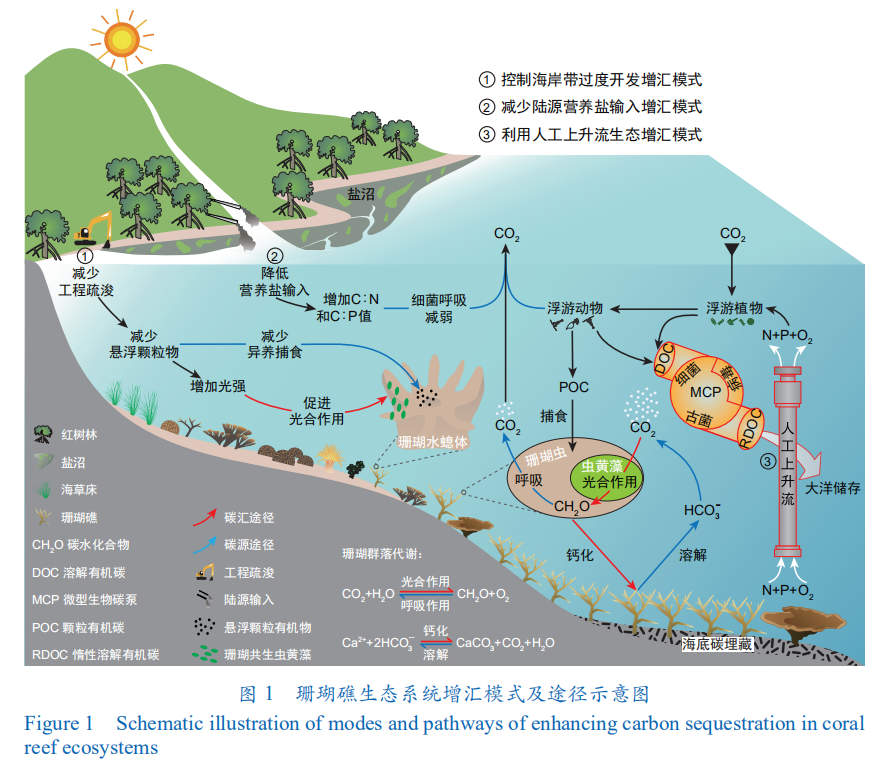 新研究：气候变化速度远超珊瑚礁迁移能力
