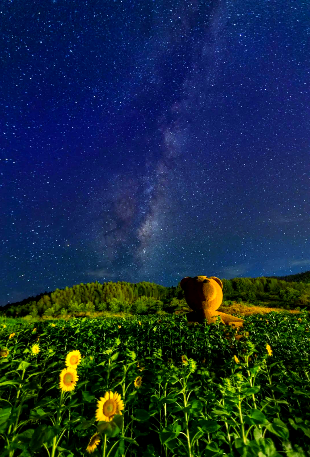 星空有约｜夏夜星河灿烂 共赏“银河落九天”