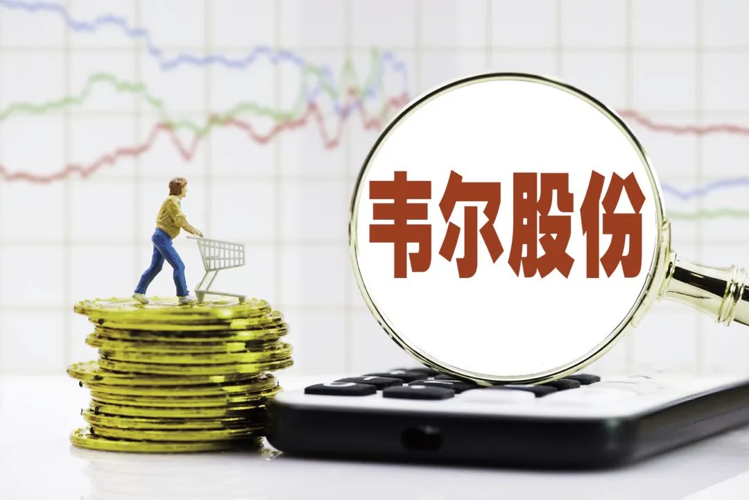 浙矿股份续聘林为民为董秘：2024年薪酬35万 今年一季度公司净利减少74%