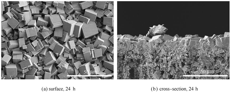 中国石油获得发明专利授权：“一种高岭土微球原位合成的多级孔高硅Y型分子筛及其制备方法”