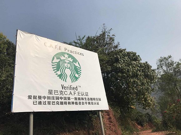 雀巢与东航推出联名咖啡 本土化实践见证云南咖啡蜕变之路