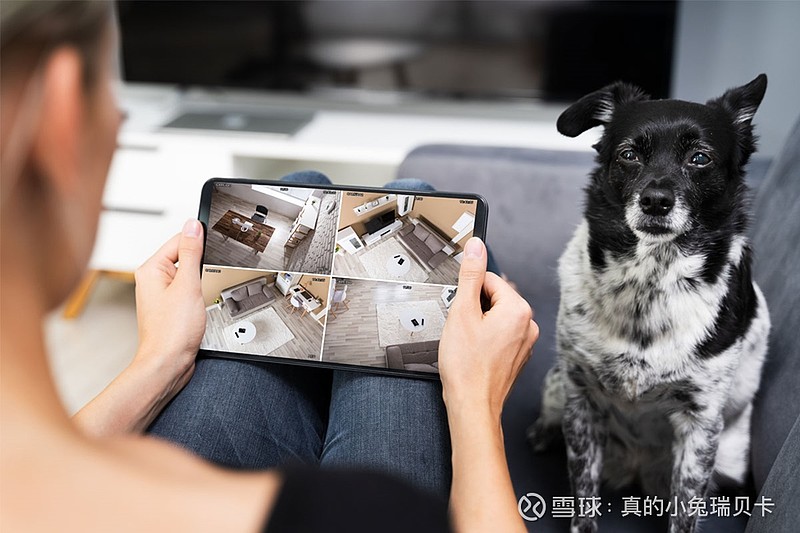 协创数据获得外观设计专利授权：“摄像头（带显示屏幕）”