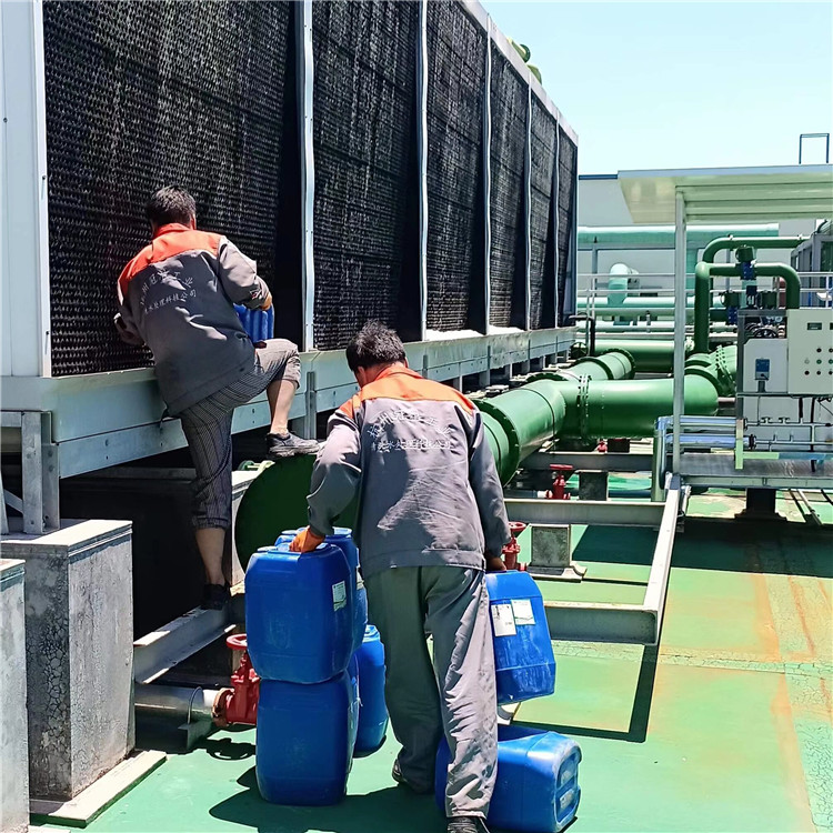 德昌股份获得发明专利授权：“一种水循环的布艺清洗机”