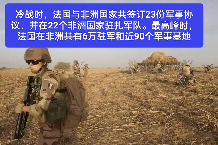2024年比利时取代法国成为喀麦隆最大的欧洲进口国
