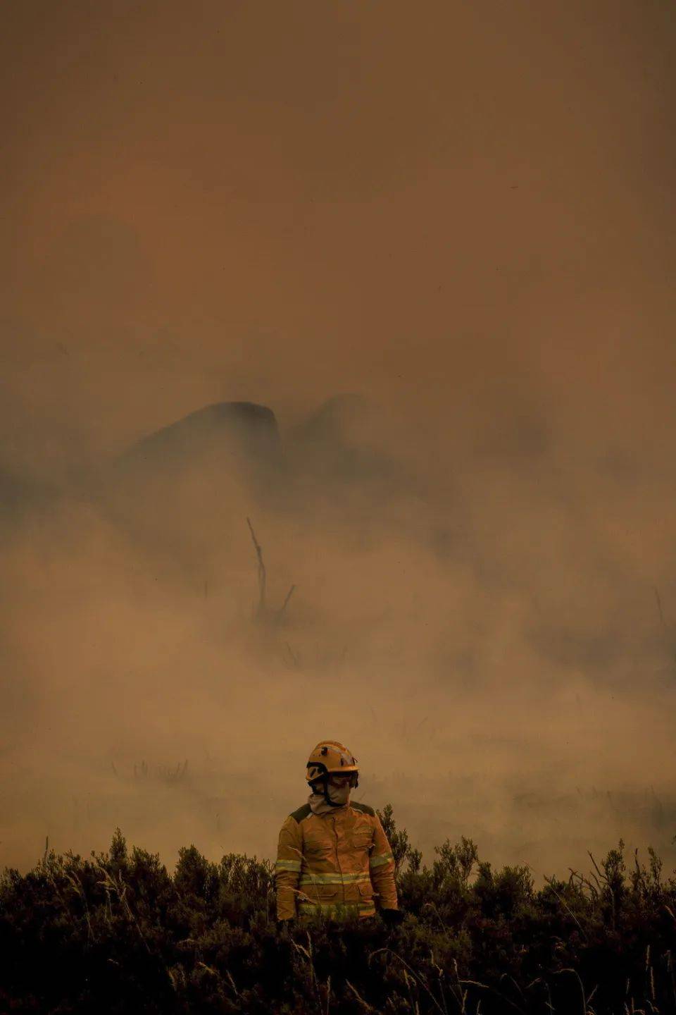 研究：气候变化致全球严重野火灾害更频繁