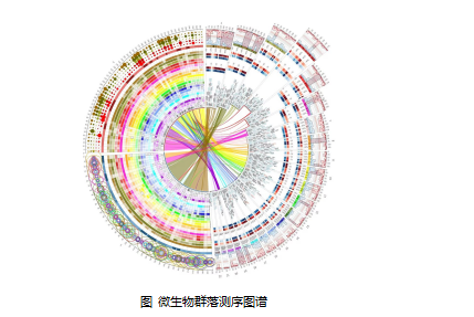澳研究：新生儿足跟血基因测序有助于疾病早发现