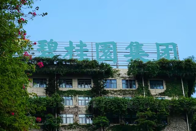 碧桂园将于11月举行境外债务重组计划投票