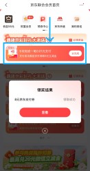 飞鹿股份：上海骁光已支付2500万元无担保借款