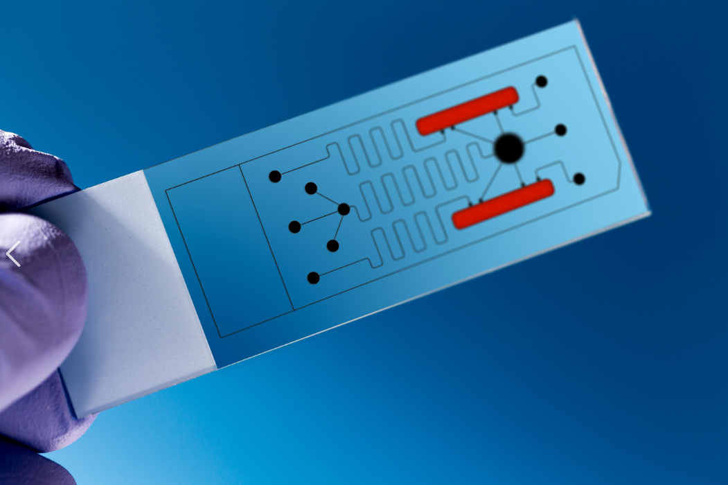 京东方Ａ公布国际专利申请：“一种数字微流控阵列元件的驱动电路、数字微流控芯片及使用其进行液滴驱动和检测的方法”