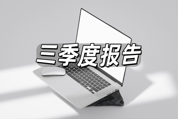 通程控股（000419）2025年三季报简析：增收不增利