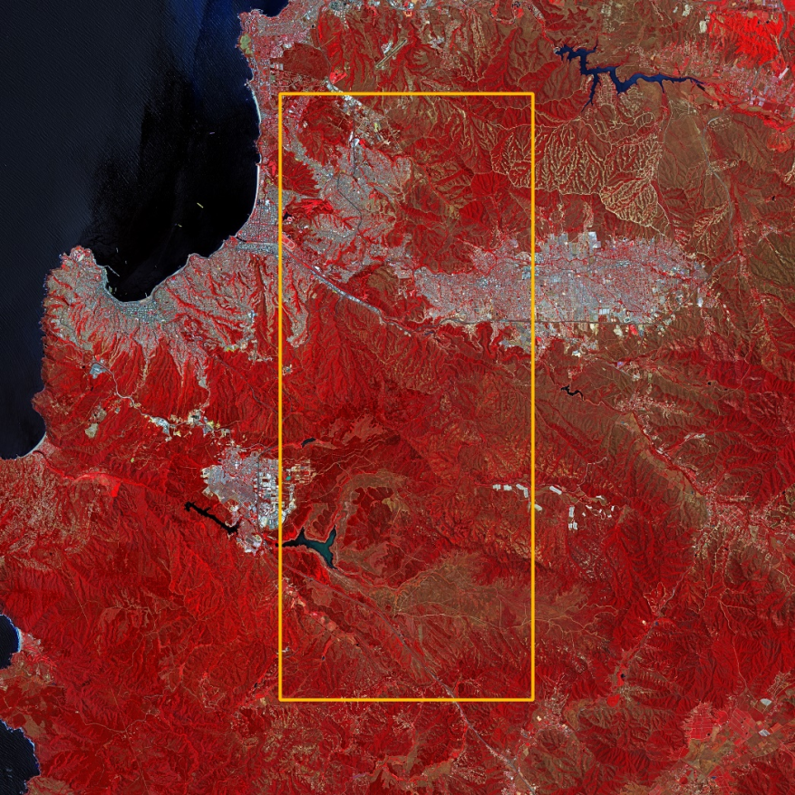 智利林业界紧急呼吁政府应对美国于10月14日生效的木材关税