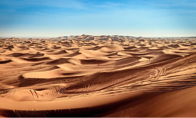 凌钢股份Q3营收增长两成仍亏2.66亿，存量债券2.17亿 | 债市财报观察