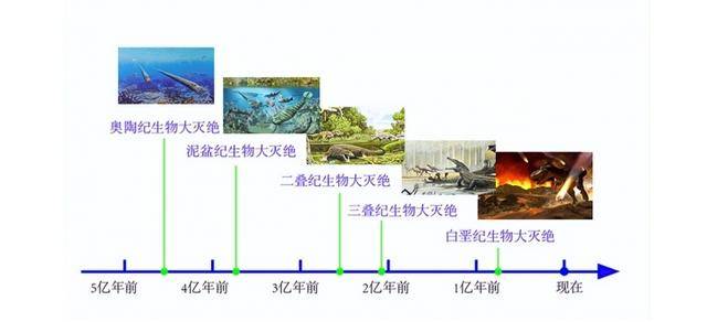 远古发现｜2.5亿年前一场“森林倒塌”，如何演变成全球性灾难