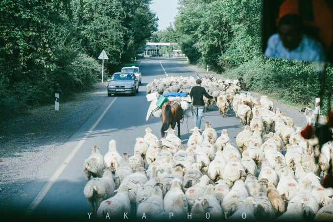 1-9月阿塞拜疆固定资产投资增长1%