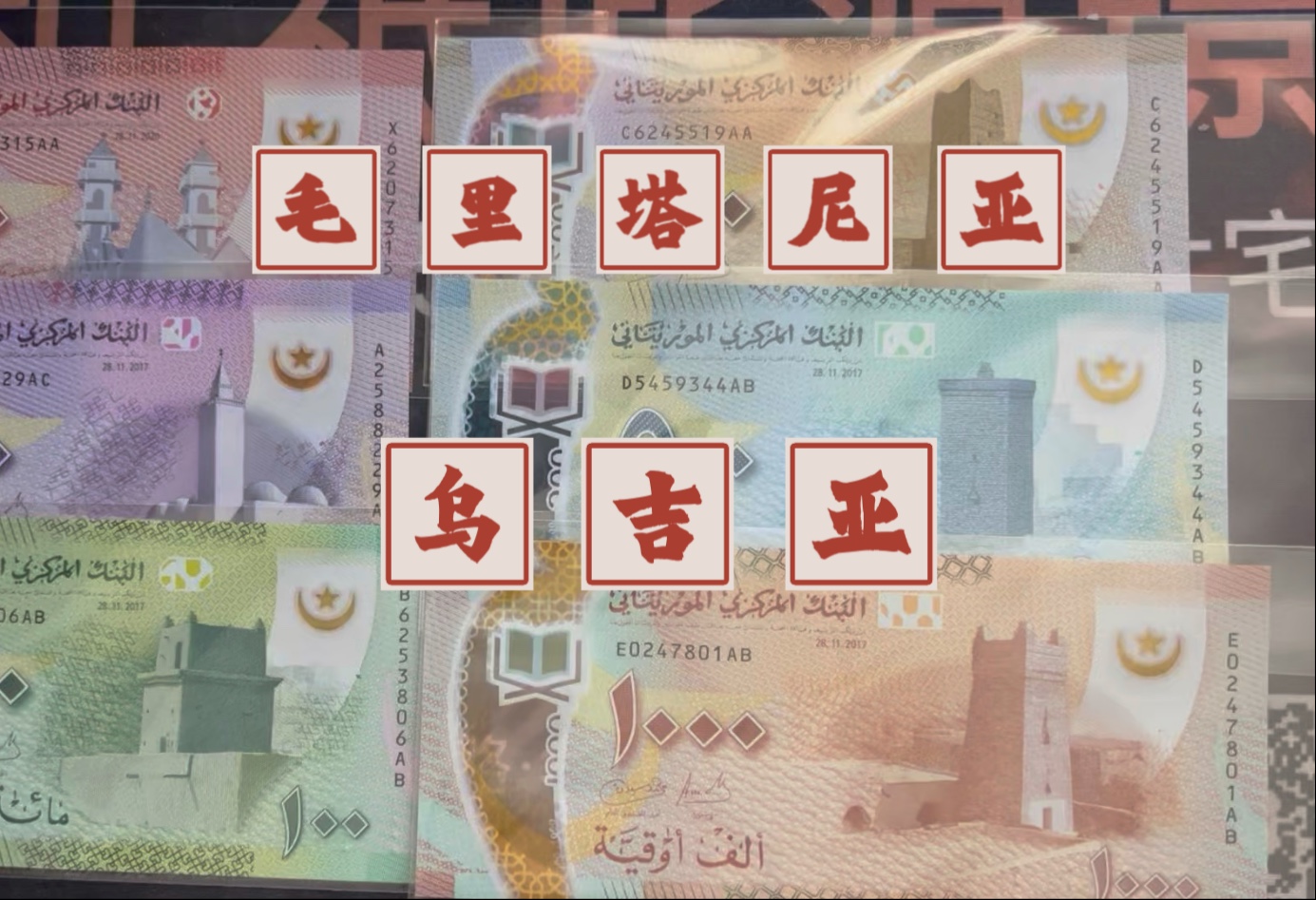 唐中东大使会见新任毛里塔尼亚投资促进署署长