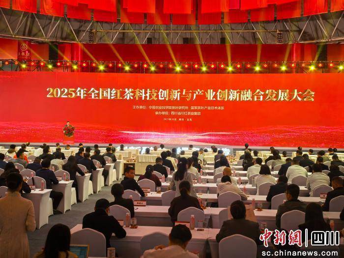 我国红茶加工技术领域实现多项突破性进展