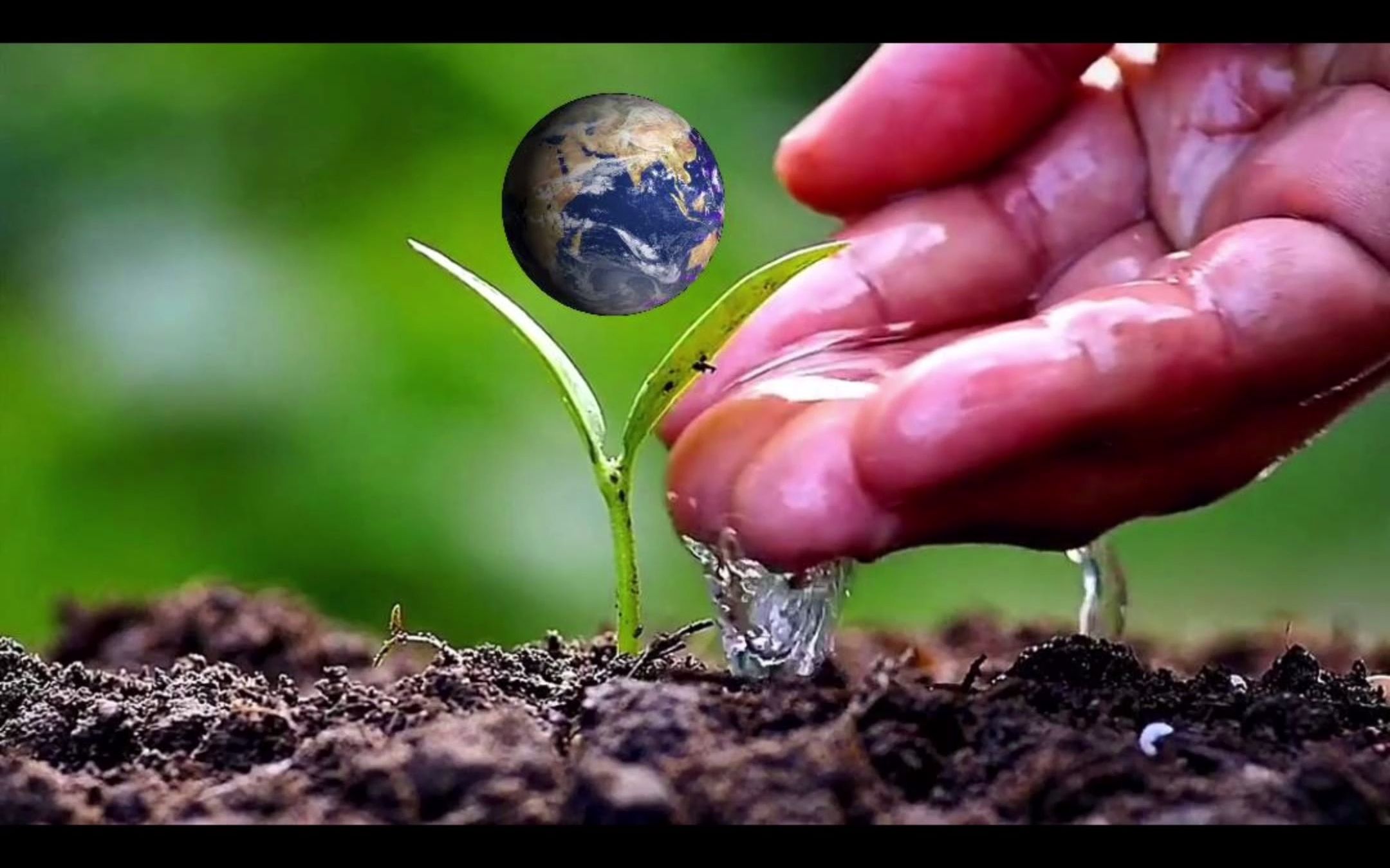 安联公司发行11.7亿元绿色及碳中和CMBS