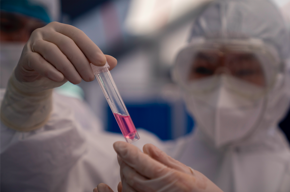 欣龙控股：截至2025年11月10日股东户数为49,956户