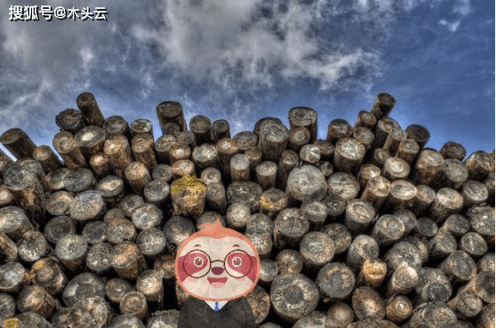 财政部长称喀麦隆2025年GDP将突破4%,并对财政纪律表示赞赏