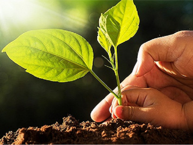 脑机接口概念发酵 塞力转债大涨19%