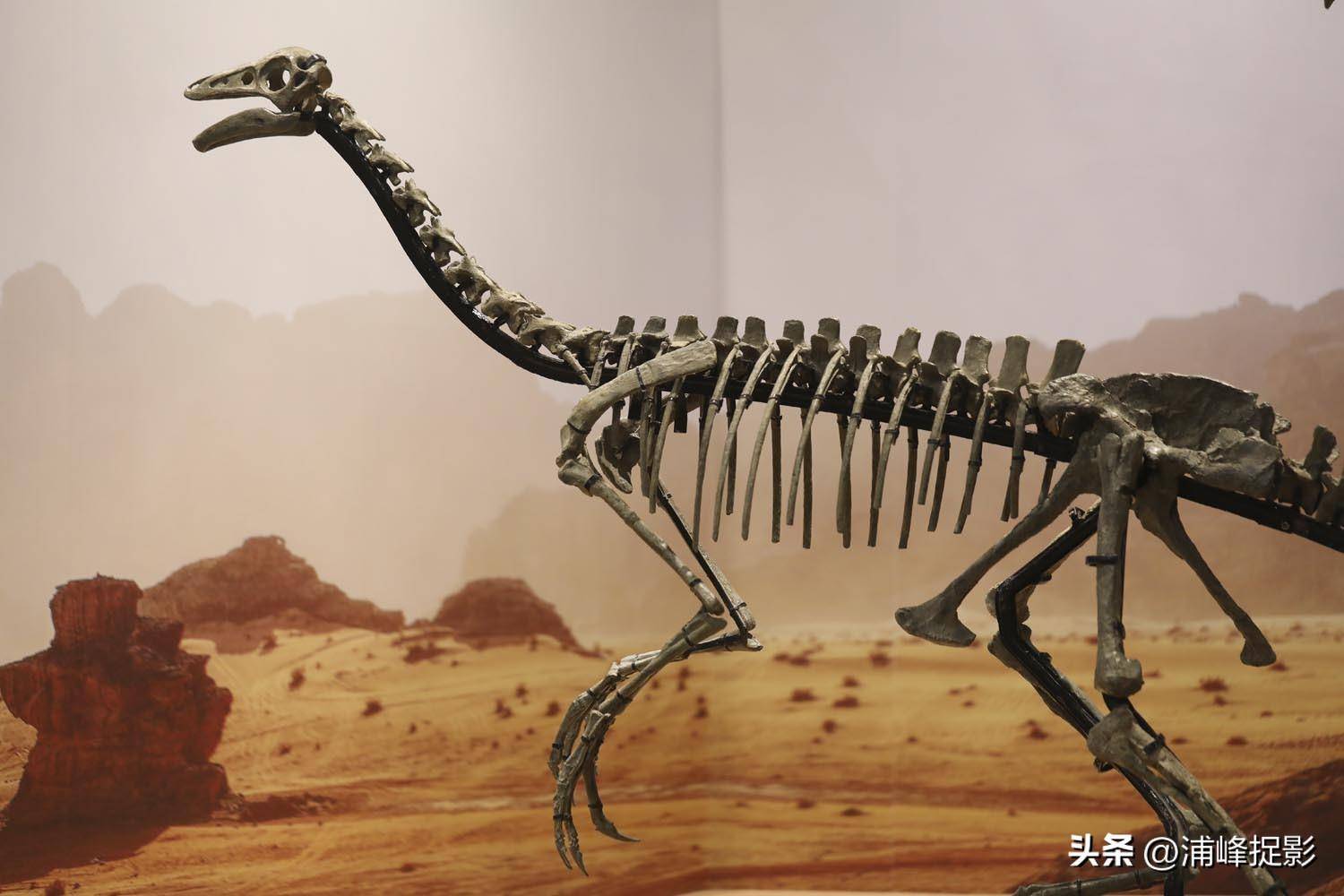 新发现证实角龙类恐龙曾生活在白垩纪晚期的欧洲