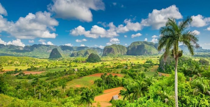 2025年前三季度古巴国内生产总值下降超4%