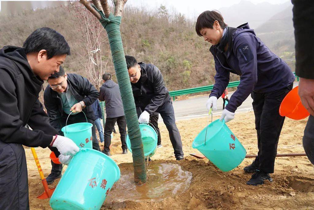 科学与健康丨对话“石头信使” 解码南极“身世之谜”
