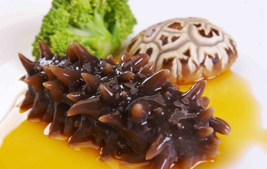 斐济内阁解除海参捕捞和贸易禁令