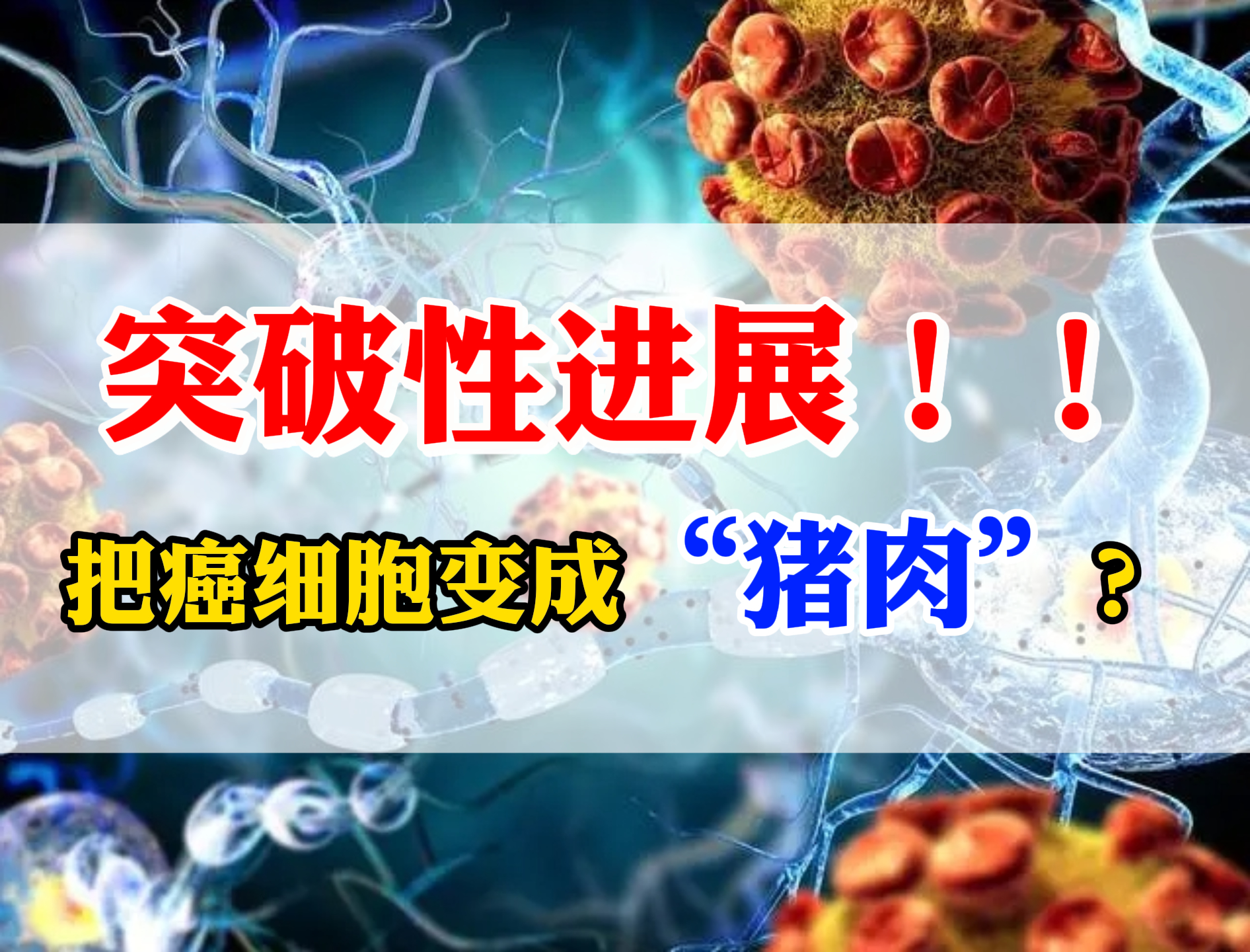 科学家刊文称：发现影响癌症进展的关键细胞