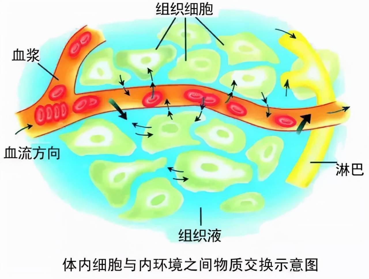 我国科学家发现极限尺寸一维铁电存储结构