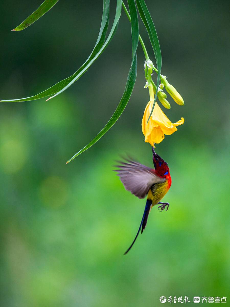 立方风控鸟·晚报(3月4日)