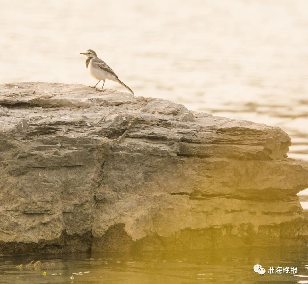 立方风控鸟·晚报(3月4日)