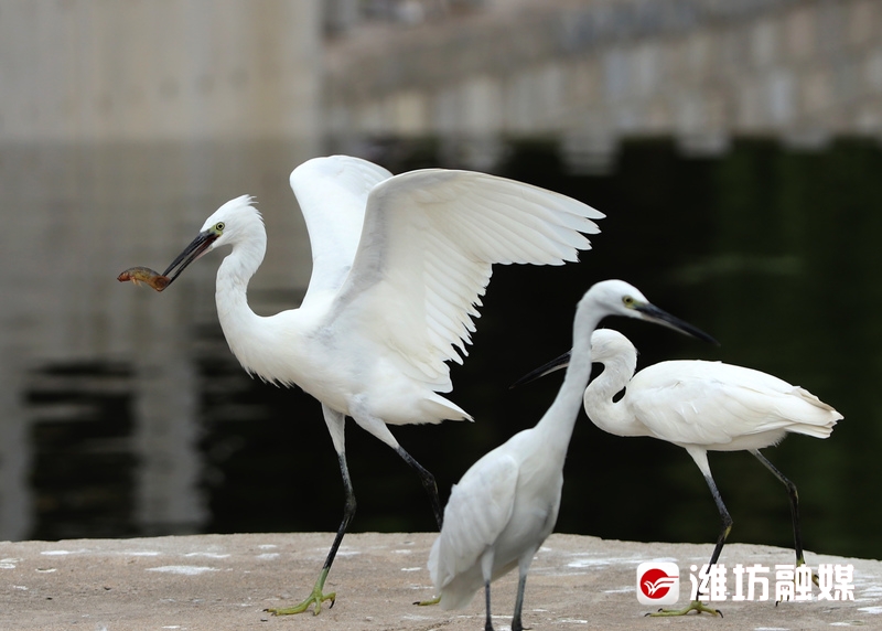 立方风控鸟·晚报（3月5日）