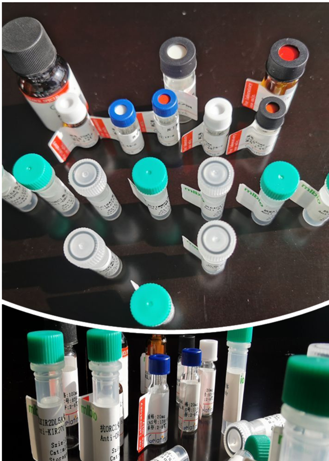 亚辉龙获得发明专利授权：“THSD7A重组抗原及其制备方法和应用”