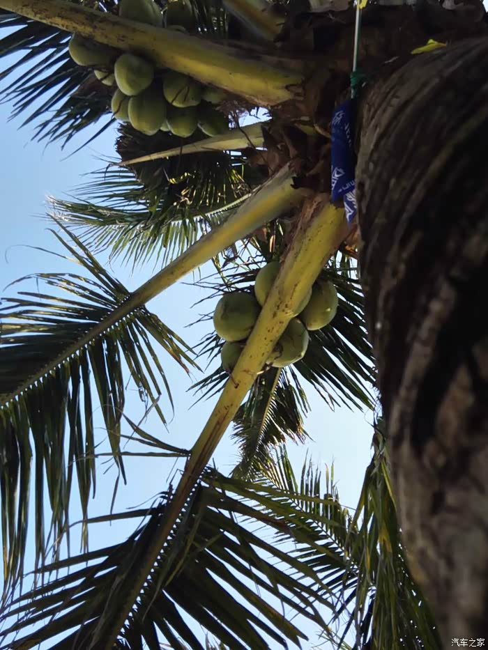 专访西部利得基金副总经理、投资总监王宇：仰望星空，脚踏实地