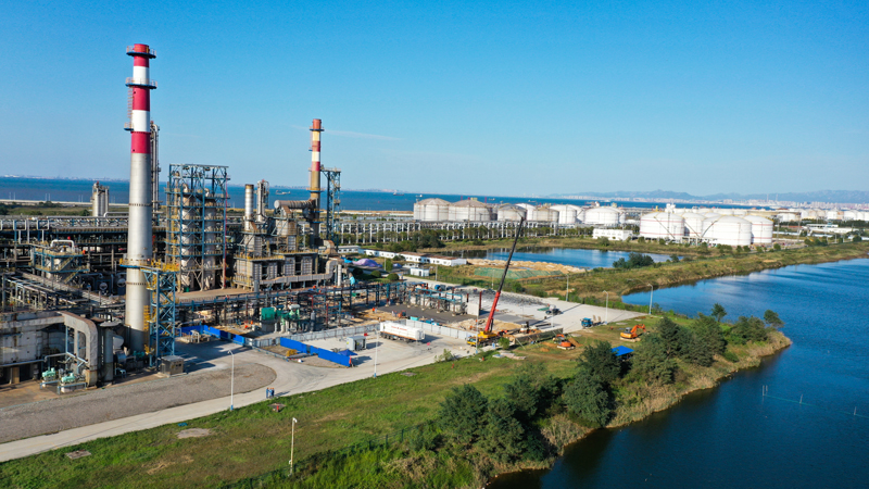 中国石化获得发明专利授权：“一种评价油泥砂对SRB贡献率的实验方法”