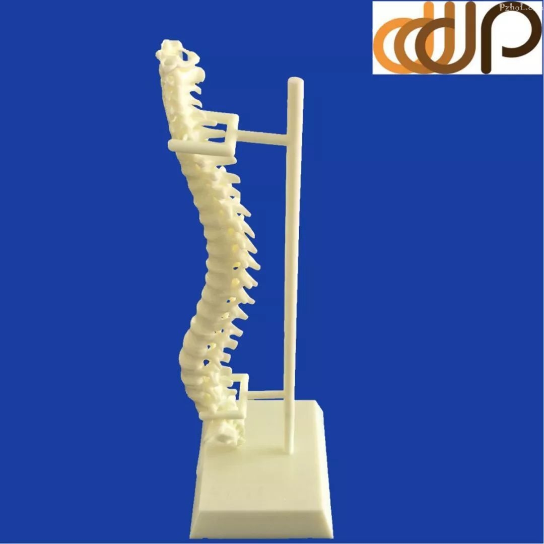 宝钛股份获得实用新型专利授权：“一种钛合金薄板应变疲劳防屈曲装置结构”