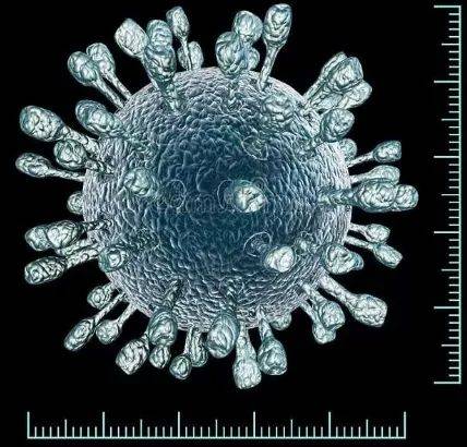 中牧股份获得发明专利授权：“非洲猪瘟病毒总抗体检测胶体金免疫层析试纸卡”