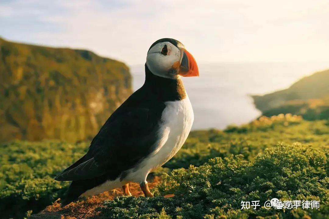 立方风控鸟·晚报(4月9日)