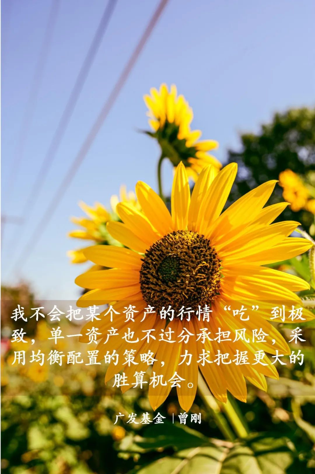 居民存款“搬家”进行时 “固收+”基金再度走红