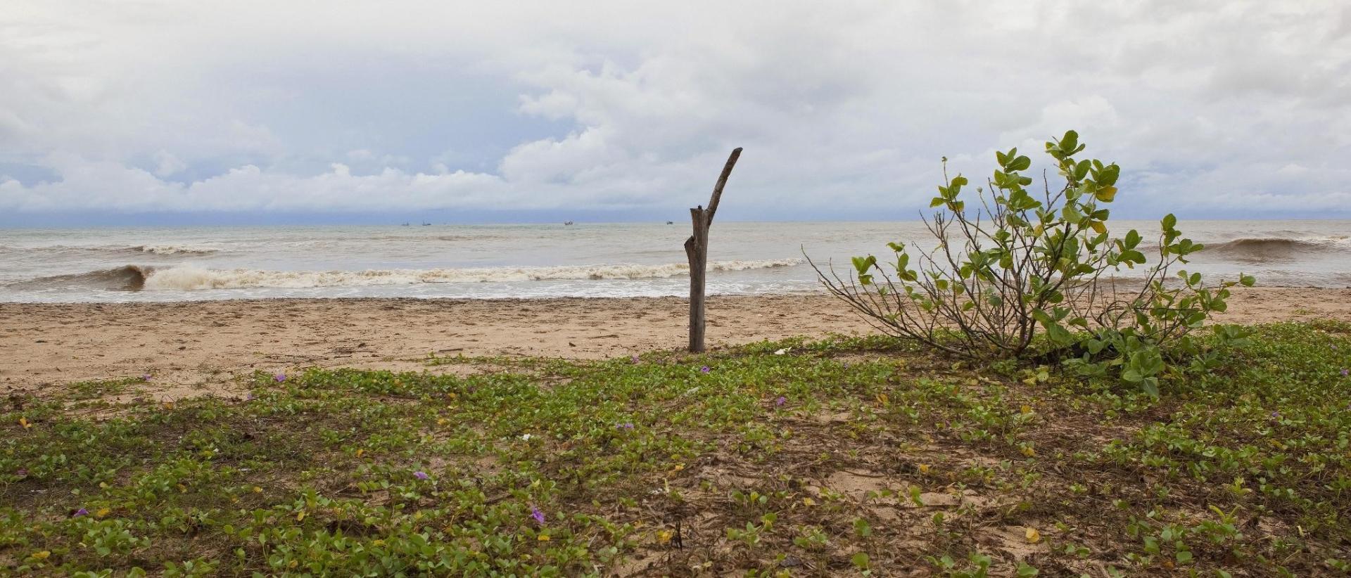 斯里兰卡3月通货膨胀率升至2.2%