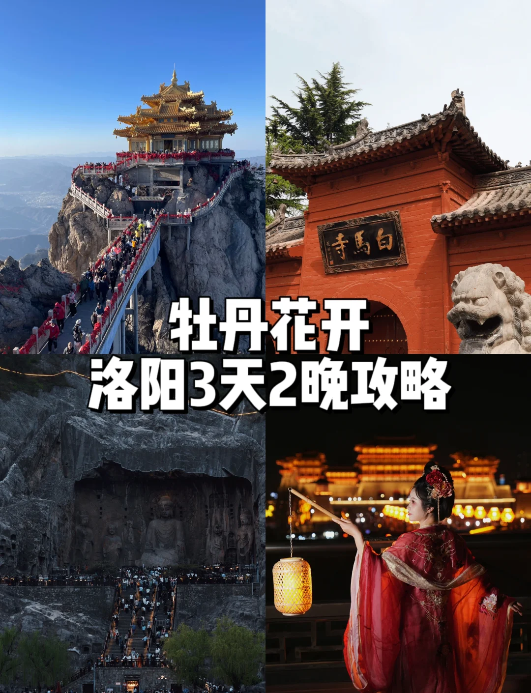 赏牡丹、游神都 滴滴多重惊喜助力洛阳踏春出行