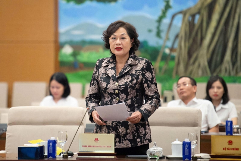 越南国会通过设立同奈直辖市的决议