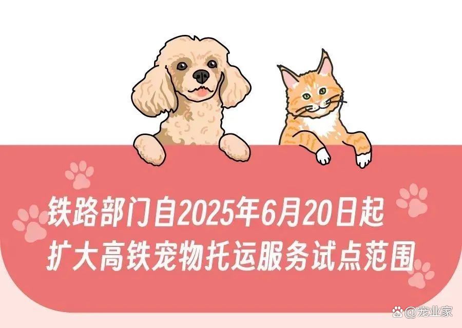 高铁“爱宠行” 近日上线,现存宠物相关企业超546万家